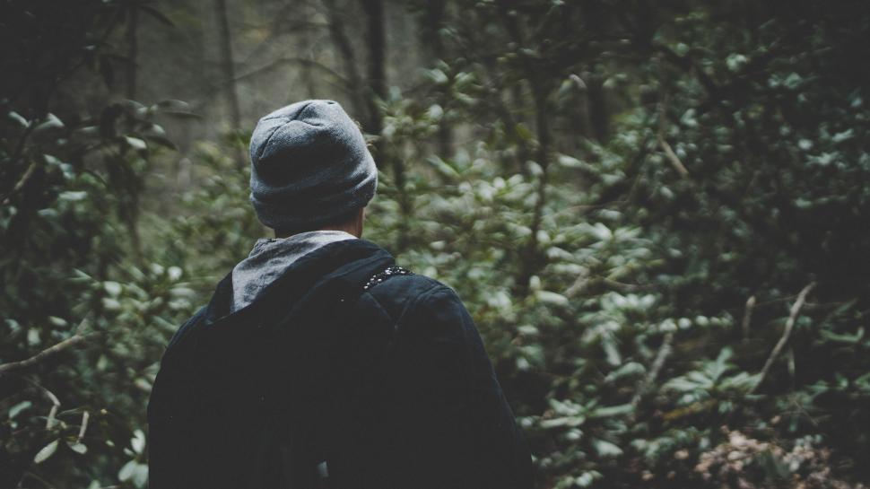 Free Image of Person Standing in Forest, Looking at Woods 