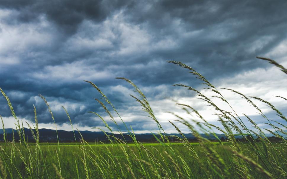 Free Image of Grassy Field With Storm Clouds 