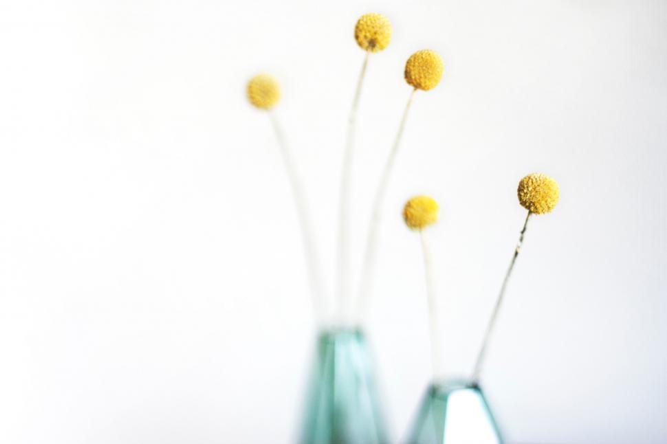 Free Image of Three Yellow Flowers in Green Vase 