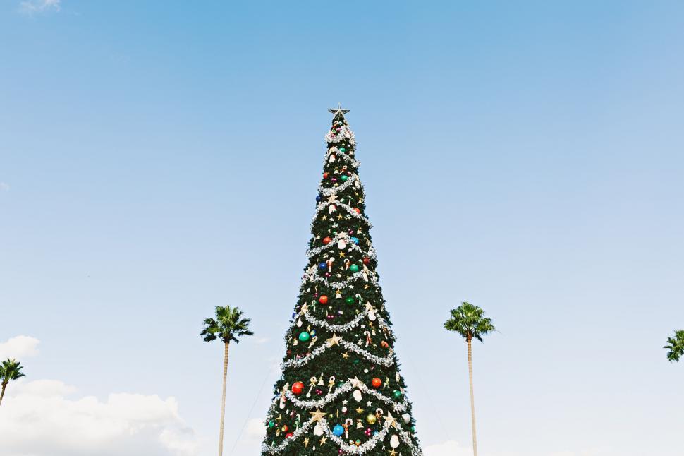 Free Image of A Large Christmas Tree Surrounded by Palm Trees 