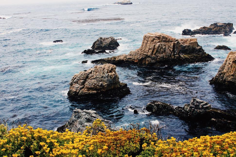 Free Image of Rocky Ocean Shoreline With Yellow Flowers 