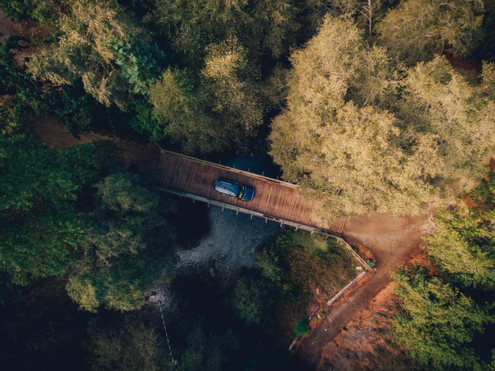 Free Image of Aerial View of Bridge Amidst Forest 