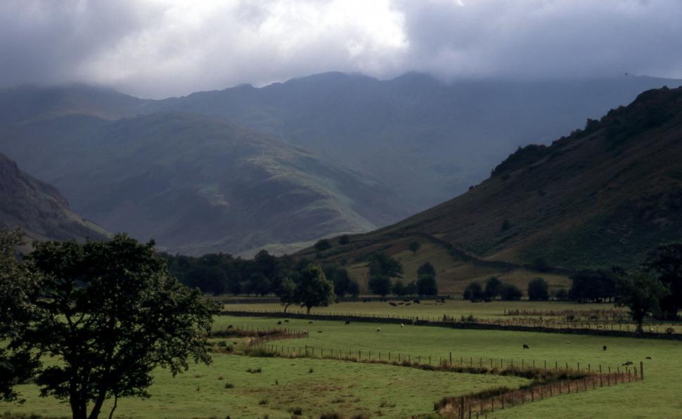Free Image of Field With Tree and Mountains in Background 