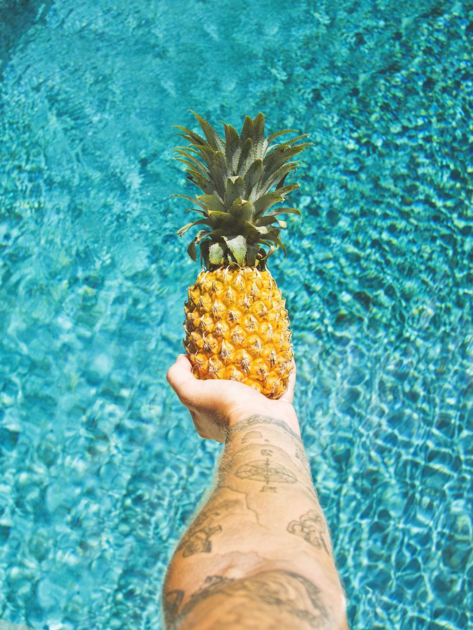 Free Image of Person Holding Pineapple in Hand 