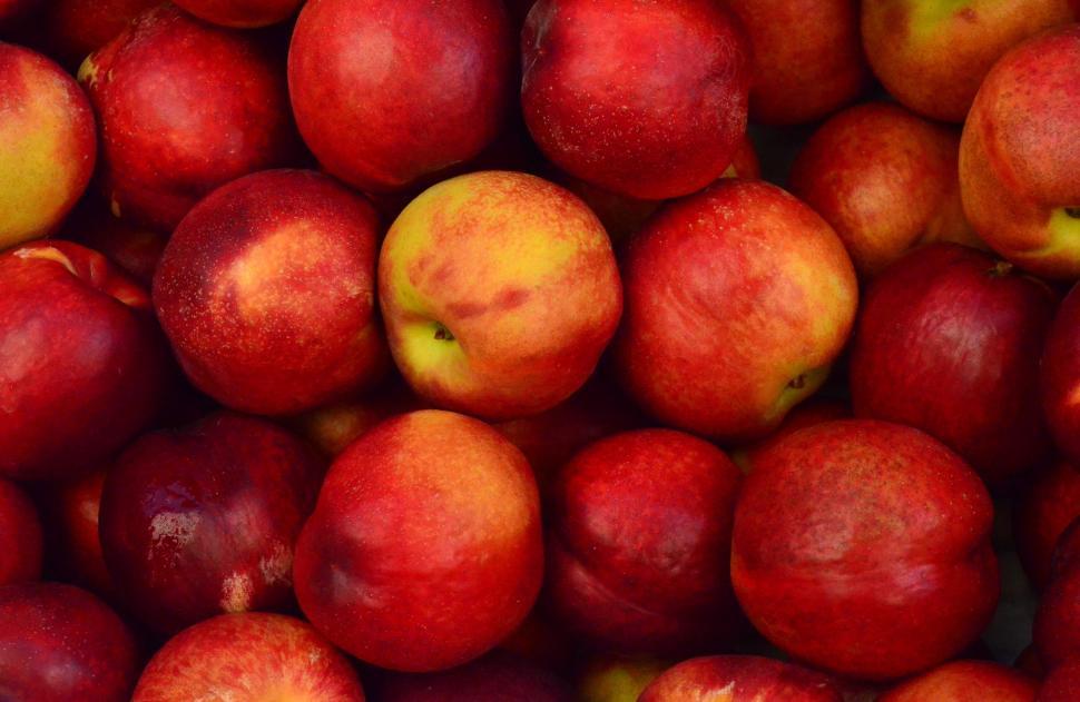 Free Image of A Pile of Red Apples 