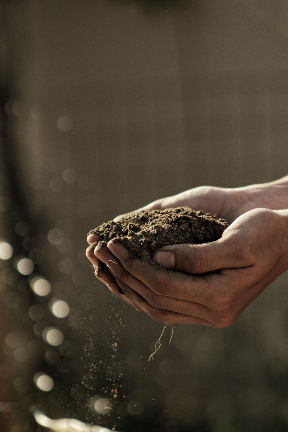 Free Image of Person Holding Dirt Ball 