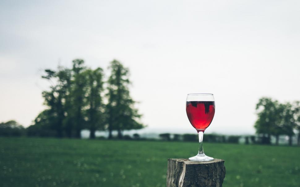 Free Image of Glass of Wine on Tree Stump 
