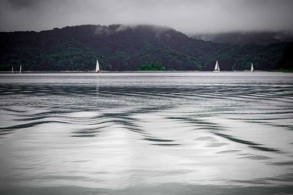 Free Image of Sailboats Cruising on the Water 