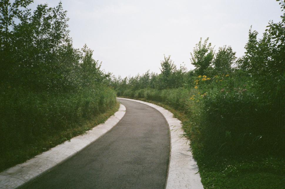 Free Image of Curved Road in Grass Field 