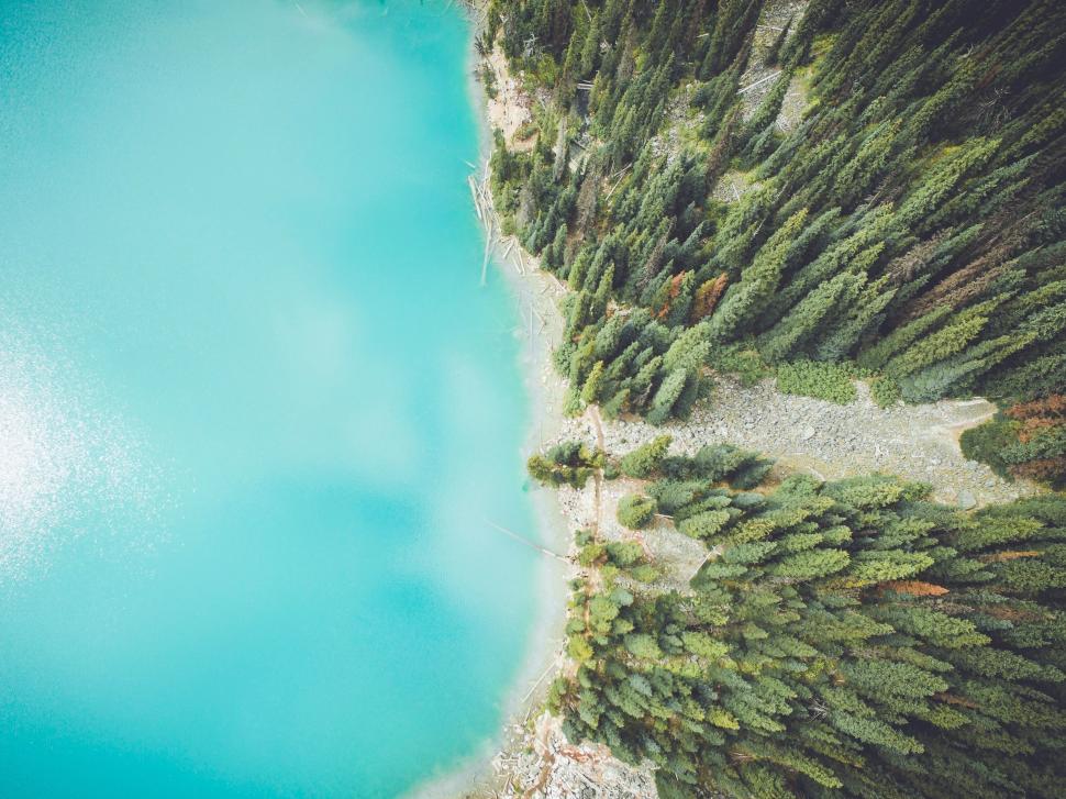 Free Image of Aerial View of a Lake Surrounded by Trees 