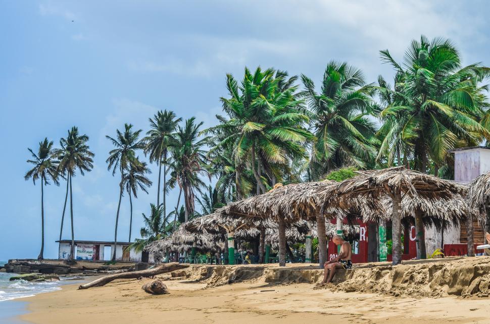 Free Image of Sandy Beach With Palm Trees and Huts 