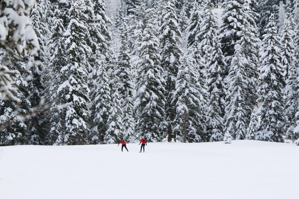 Free Image of Couple Skiing Down Snow-Covered Slope 