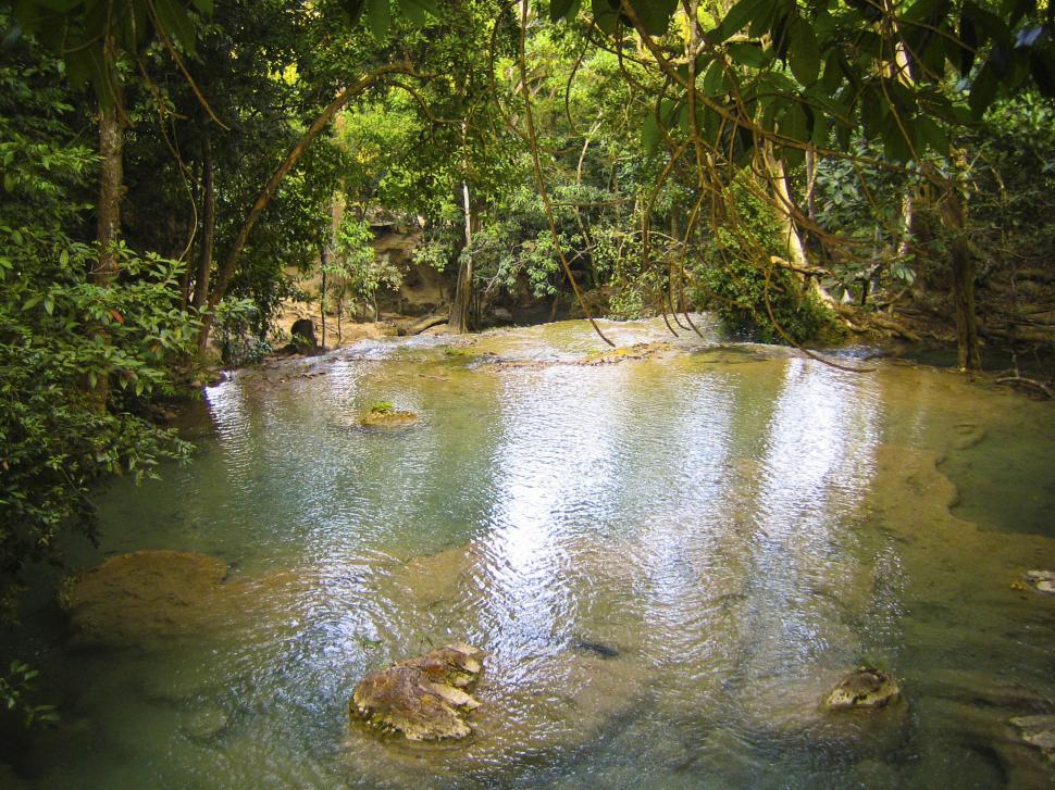 Free Image of rain forrest river in thailand 