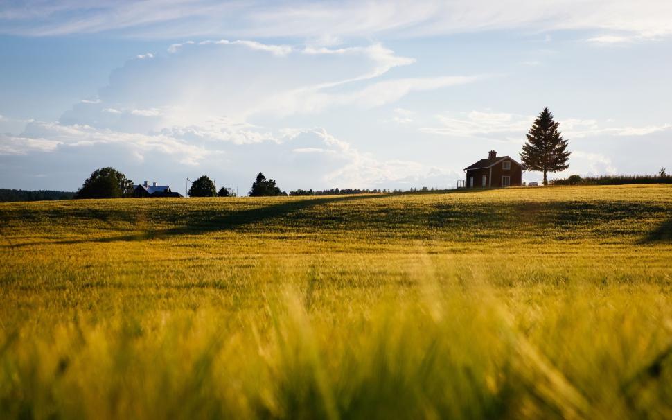 Free Image of House on the Horizon in Grassy Field 