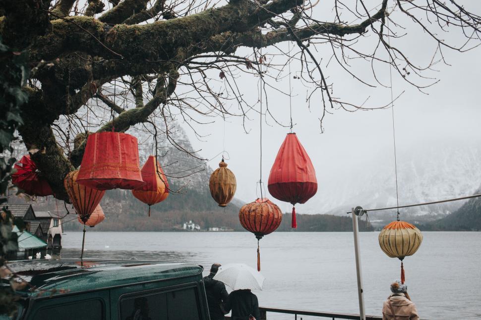 Free Image of Red Lanterns Hanging From Tree Over Body of Water 