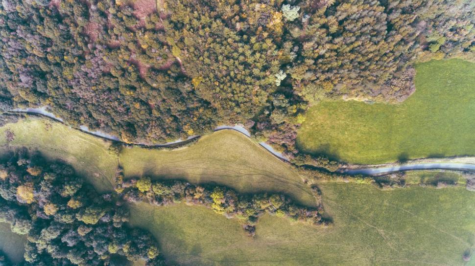 Free Image of A Birds Eye View of a Wooded Area 