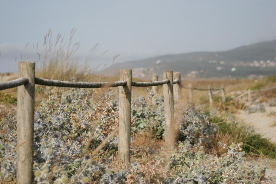 Free Image of Wooden Fence in Field of Flowers 