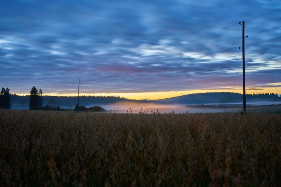 Free Image of Foggy Field With Telephone Pole 