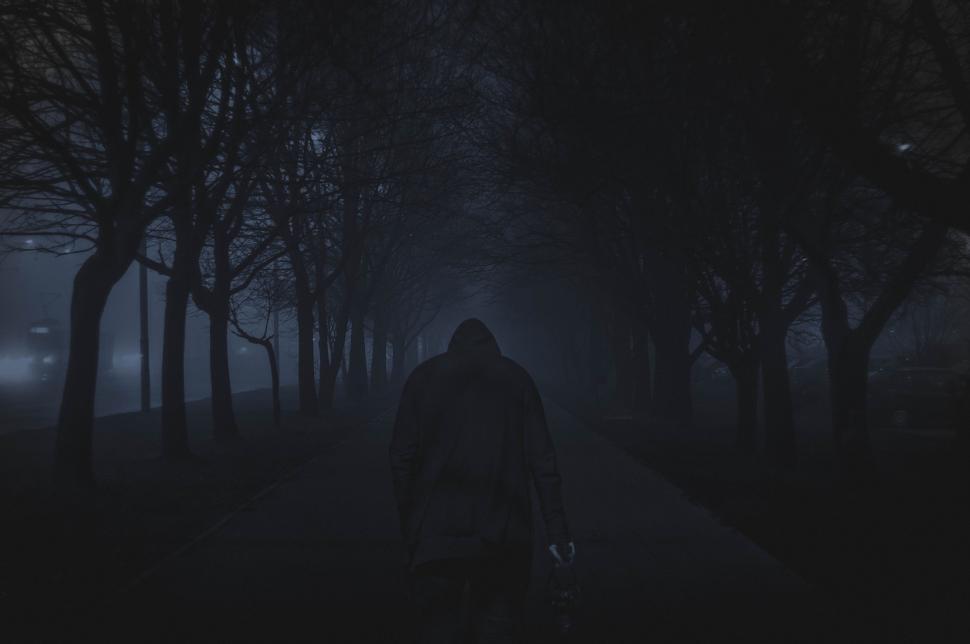Free Image of Person Walking Through Dark Forest at Night 