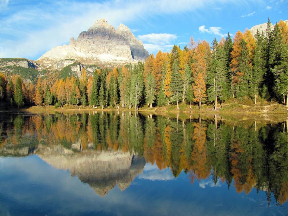 Free Image of Lake Surround by Trees With Mountain in the Background 