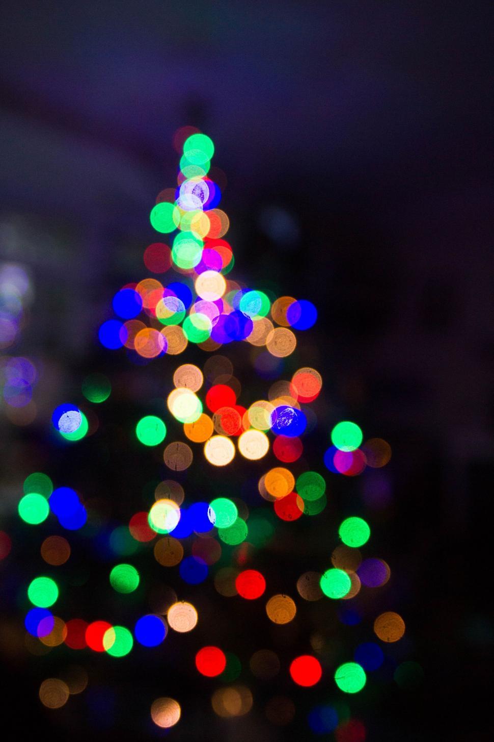 Free Image of Blurry Christmas Tree With Multicolored Lights 