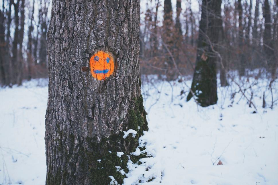 Free Image of Smiley Face Painted on a Tree 