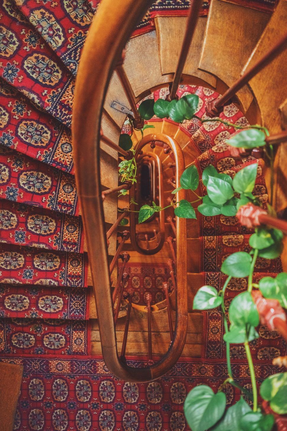 Free Image of Spiral Staircase With Plant Growth 