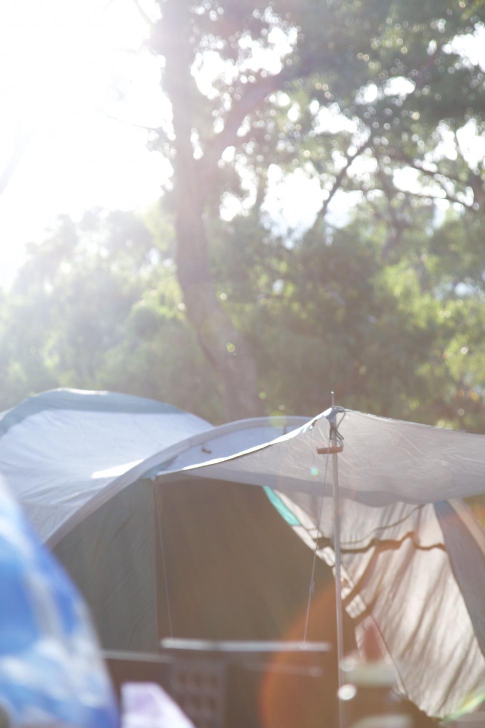 Free Image of Two Tents Situated Next to Each Other in a Campsite 