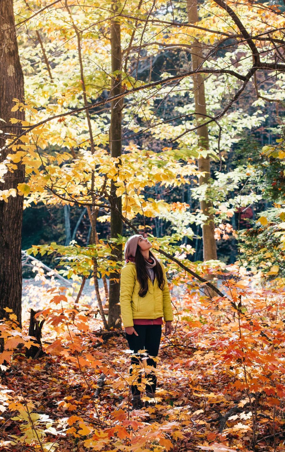 Free Image of Woman in Yellow Jacket Walking Through Forest 