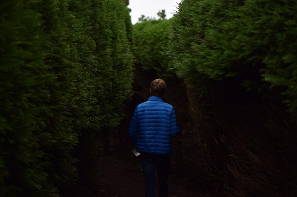 Free Image of Person in Blue Jacket Walking Through Tree Tunnel 