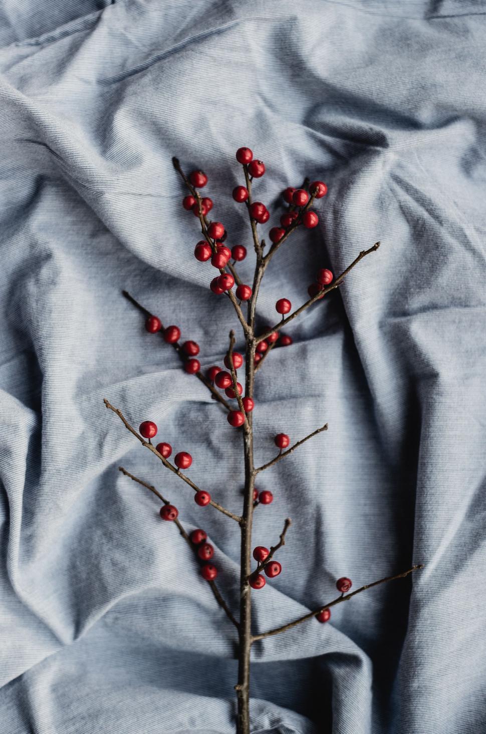 Free Image of Branch With Red Berries on Gray Cloth 