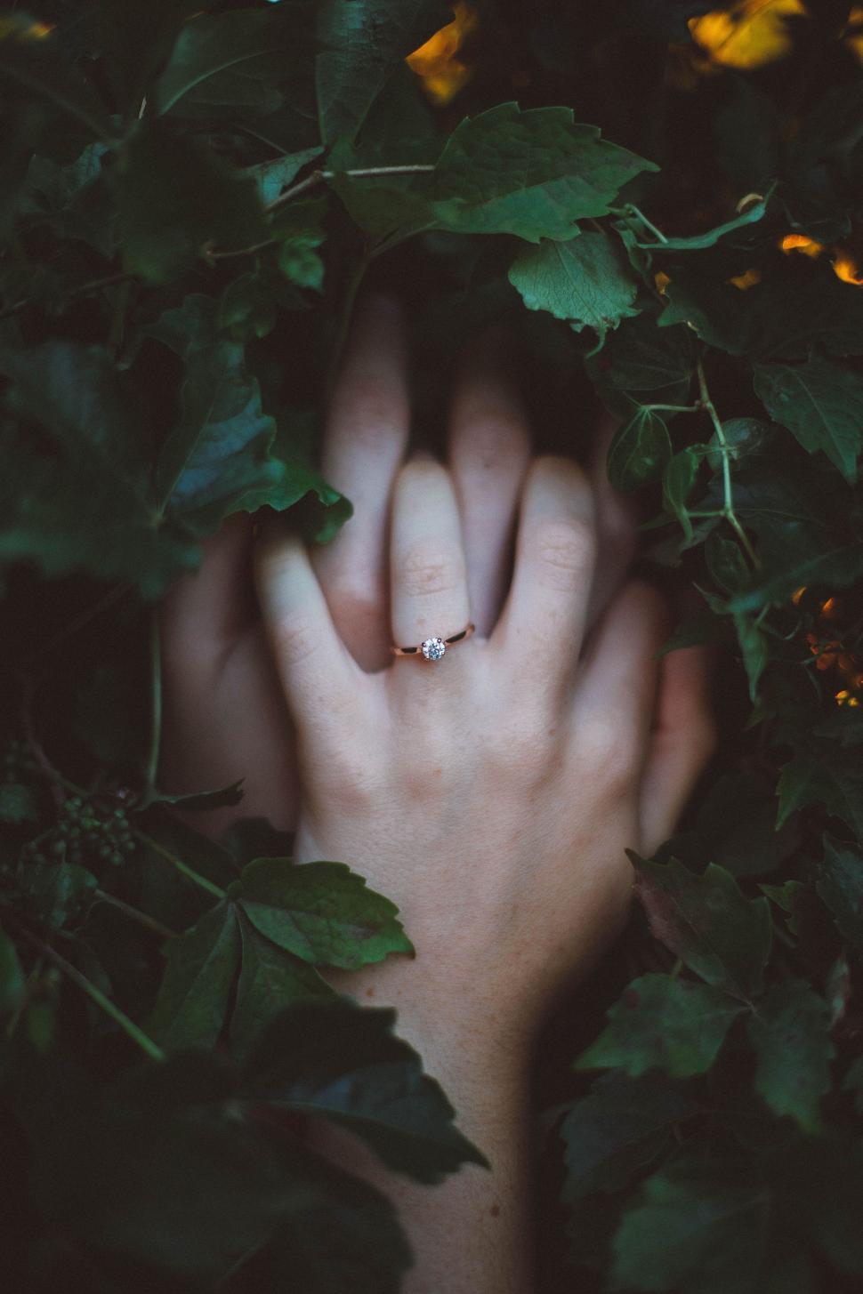 Free Image of Hand With Ring Surrounded by Leaves 