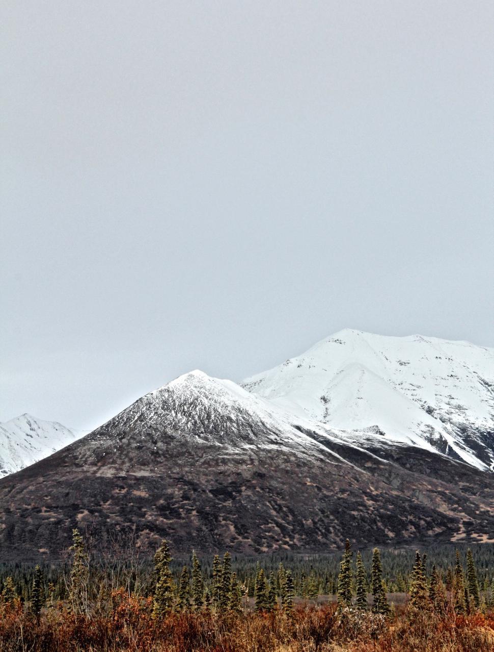 Free Image of Snowy Mountain Range With Trees in Foreground 
