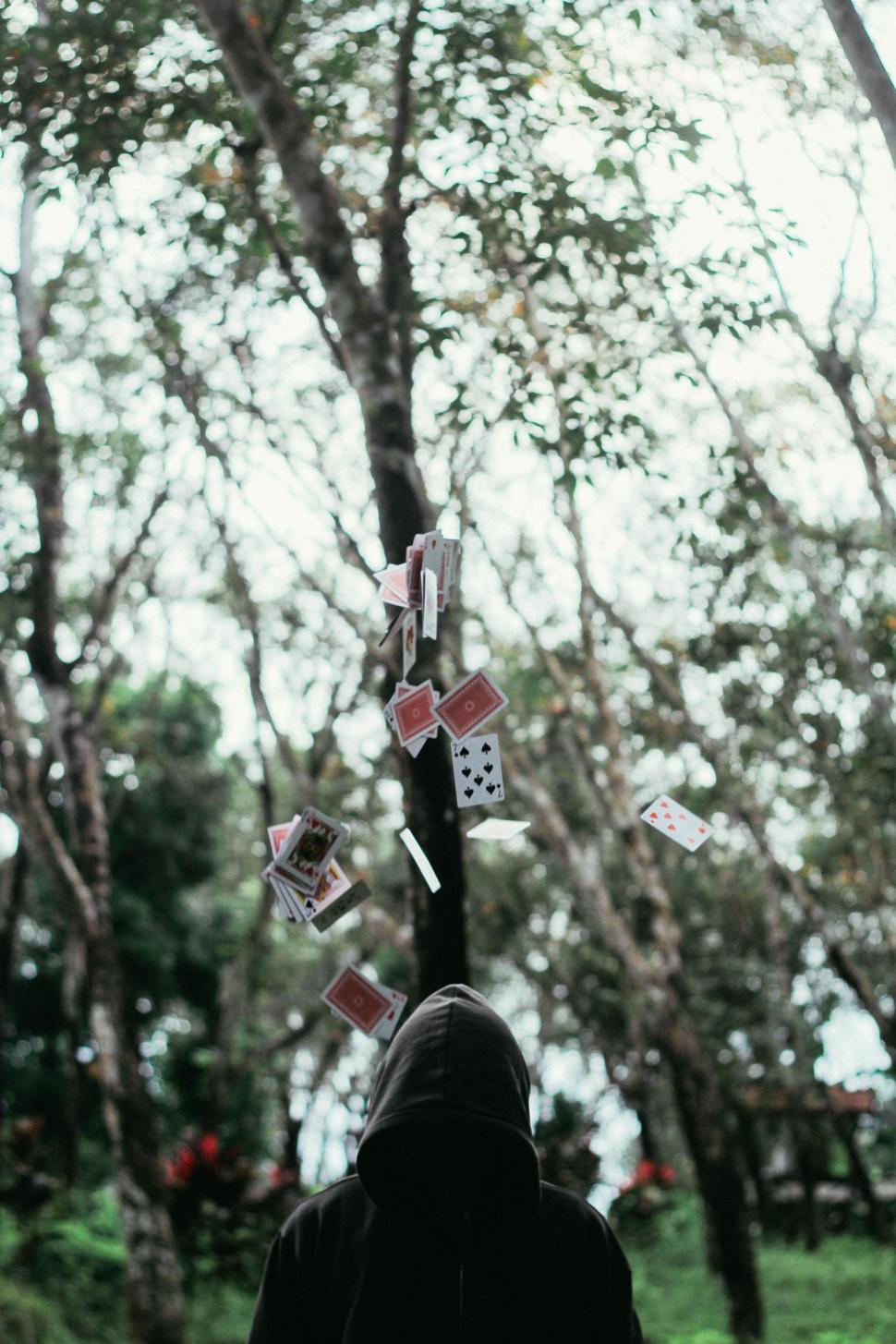 Free Image of Person Standing in Front of Tree With Falling Playing Cards 