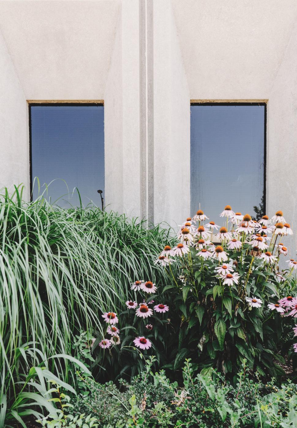 Free Image of Bunch of Flowers in Front of Building 