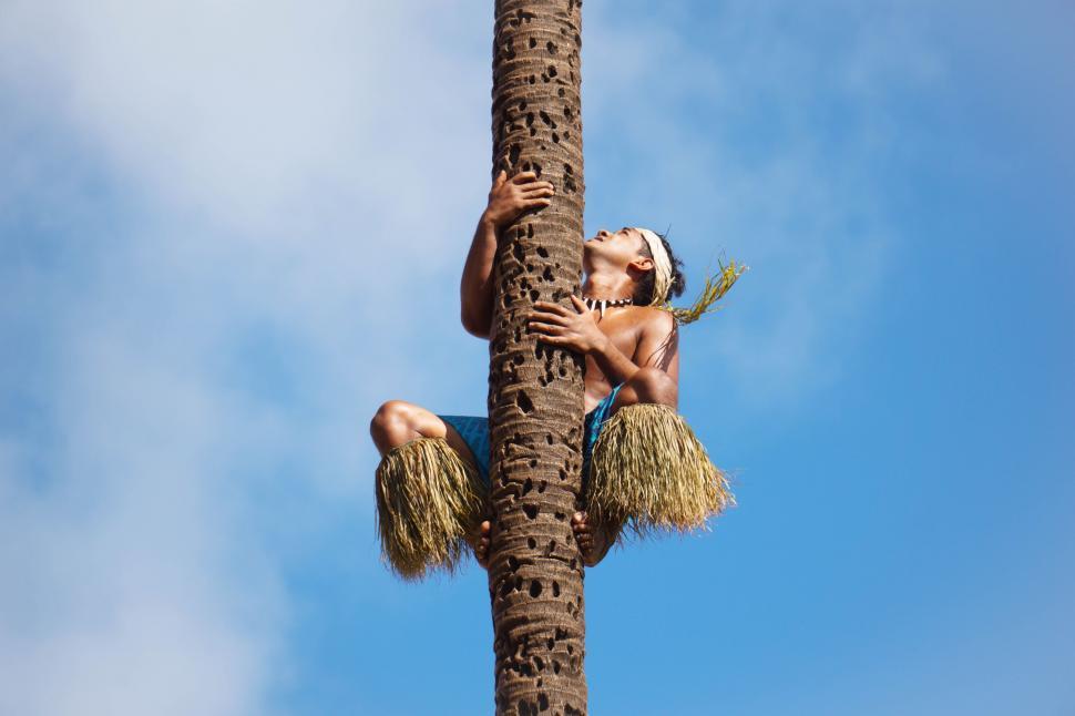 Free Image of Woman Climbing Palm Tree 