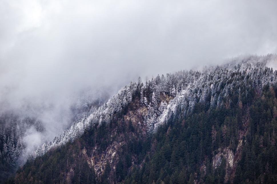 Free Image of Snow-Covered Mountain and Trees in Background 