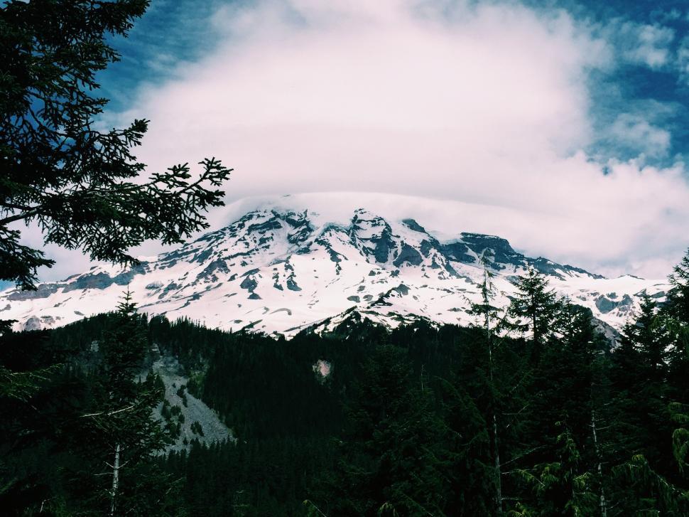 Free Image of Snow-Covered Mountain Surrounded by Trees 