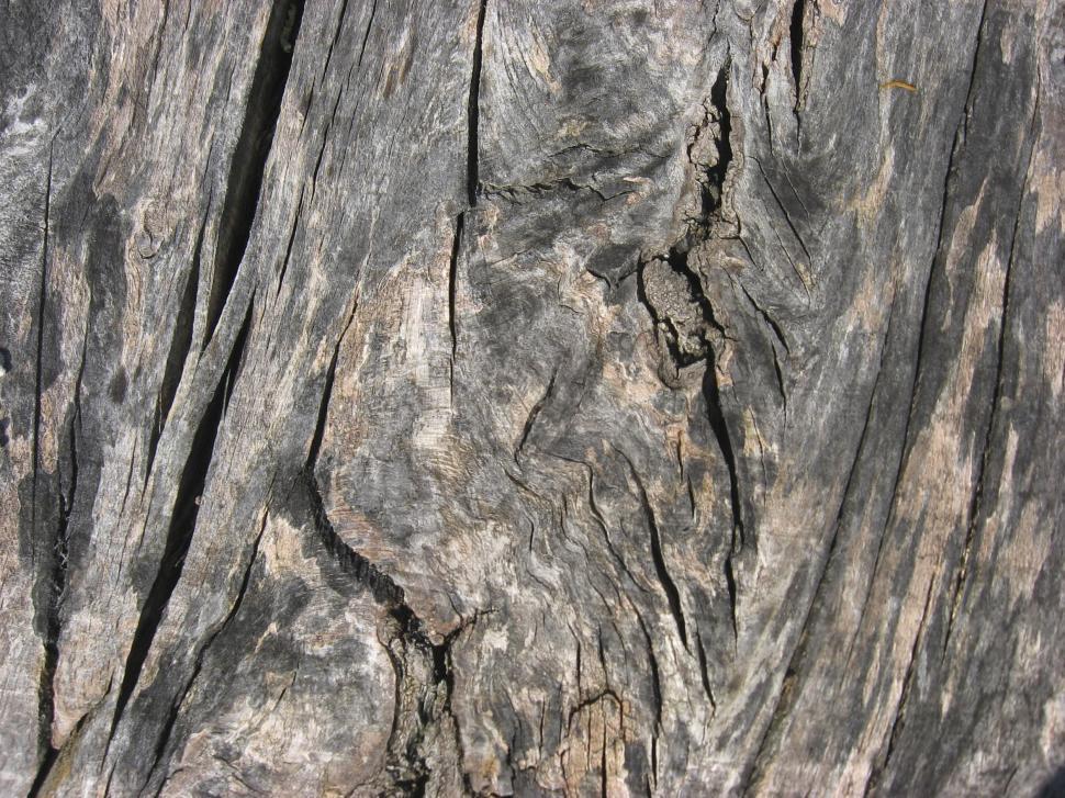 Free Image of wood texture 
