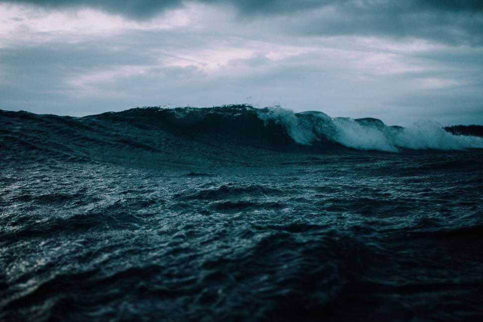 Free Image of Massive Wave Rising in the Ocean 