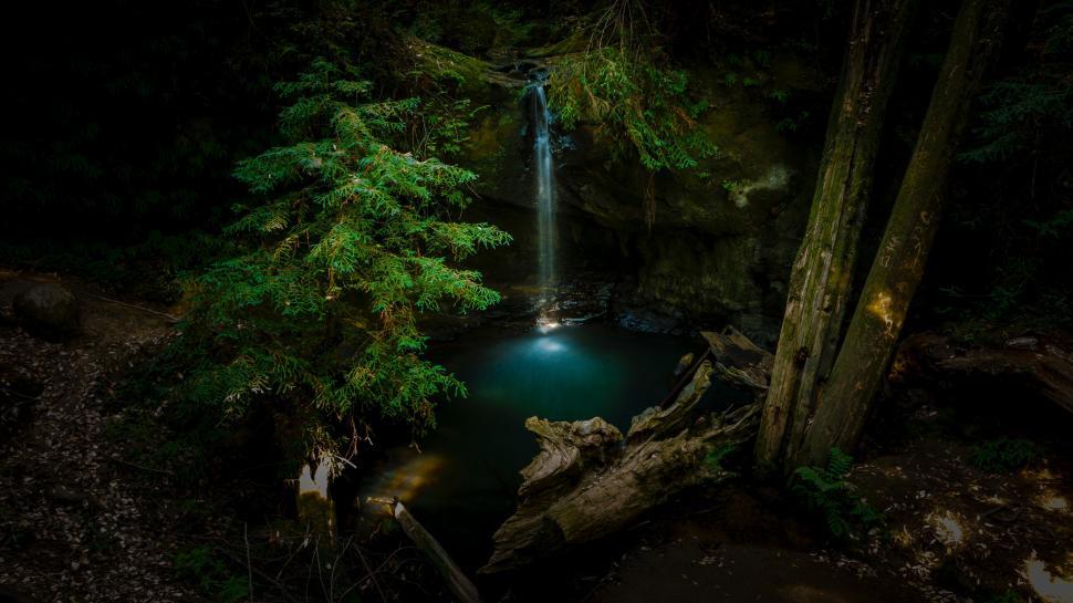 Free Image of Small Waterfall in a Forest 