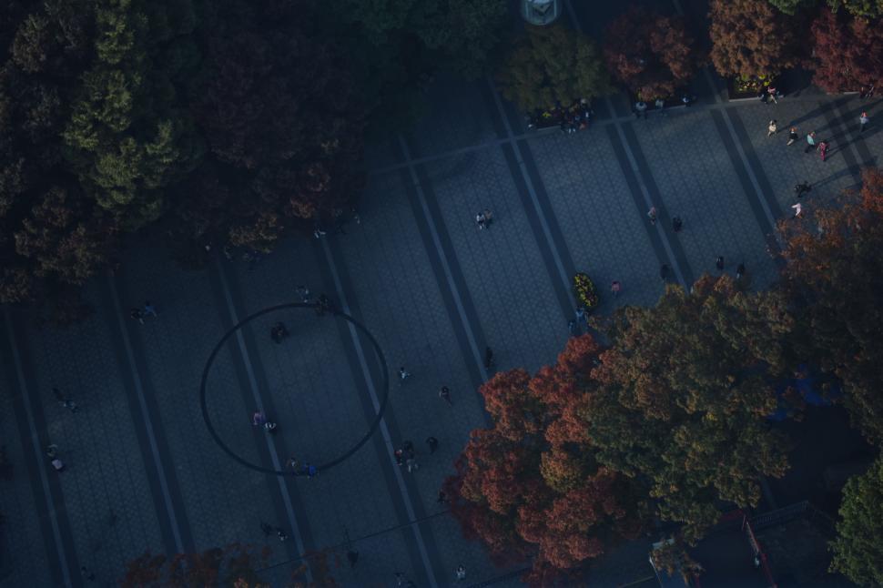 Free Image of Aerial View of Street Amidst Forest 