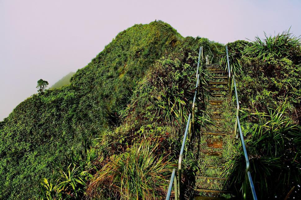 Free Image of Tall Green Hill With Ladder 