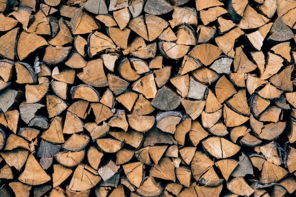 Free Image of Stack of Cut Logs in a Forest Clearing 