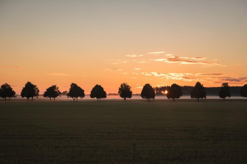Free Image of Field With Trees and Sunset in the Background 