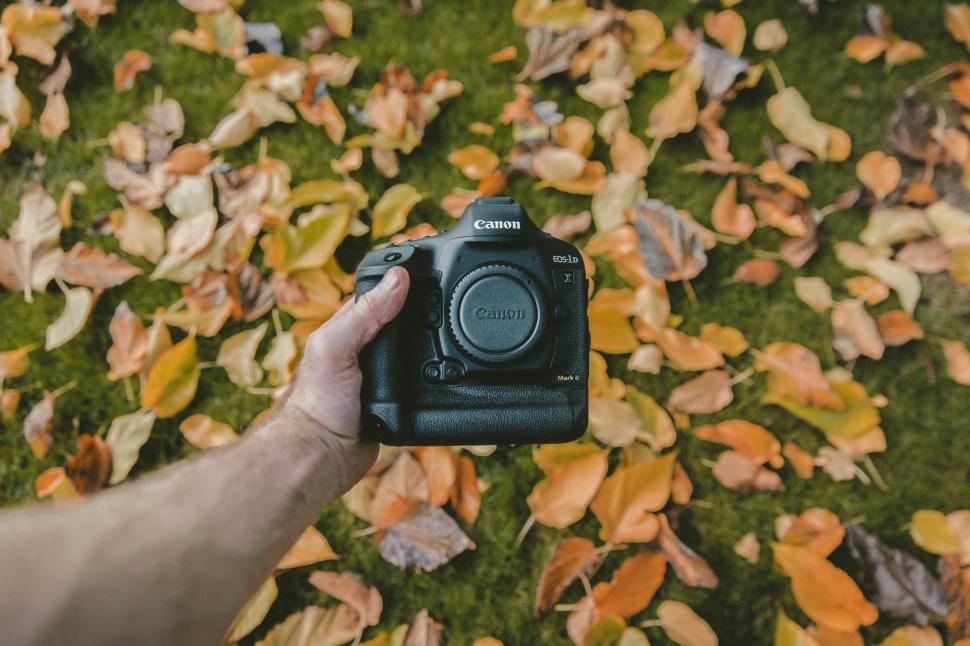 Free Image of Person Holding Camera in Front of Leaves 
