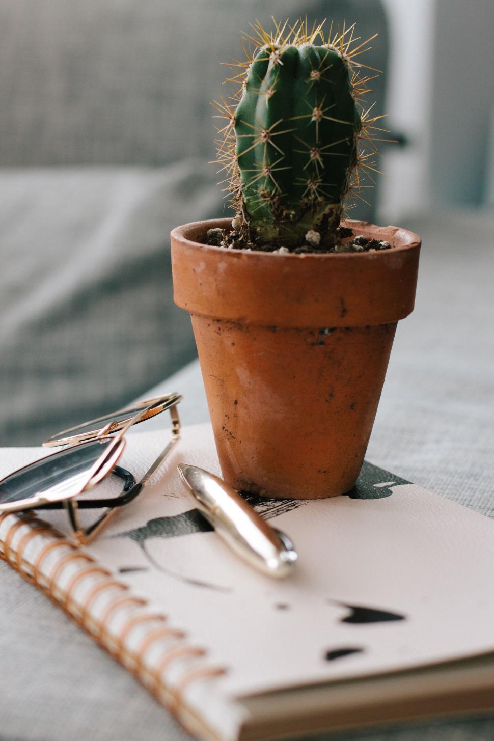 Free Image of Cactus, Notebook, and Glasses on Table 