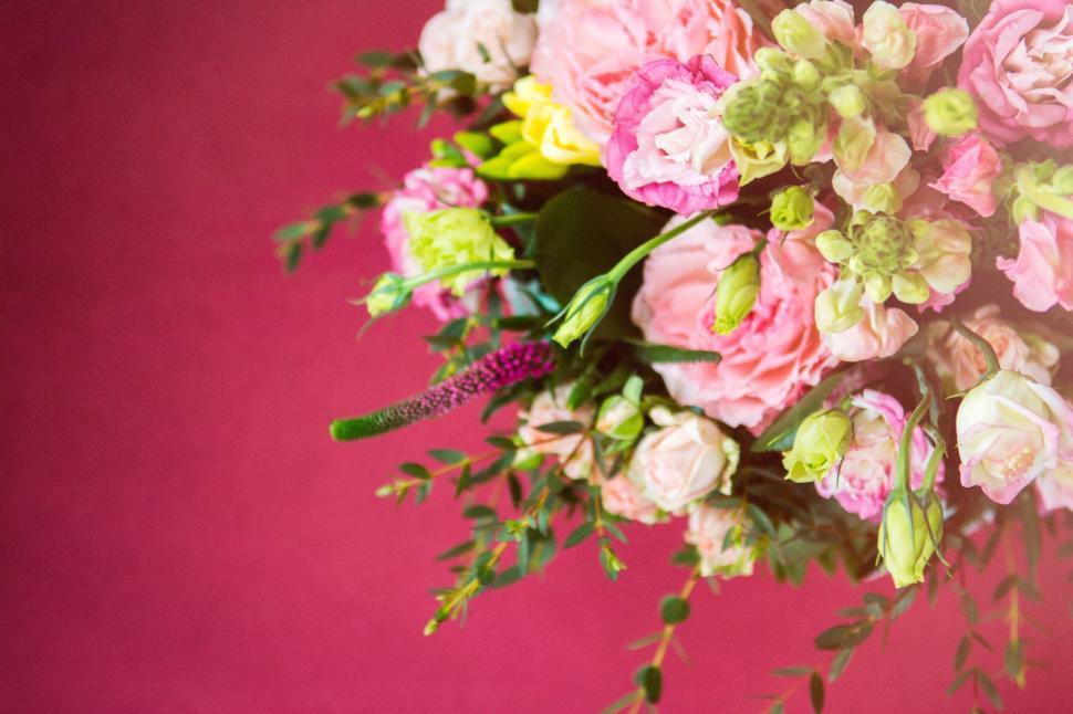 Free Image of Bouquet of Flowers on Pink Background 