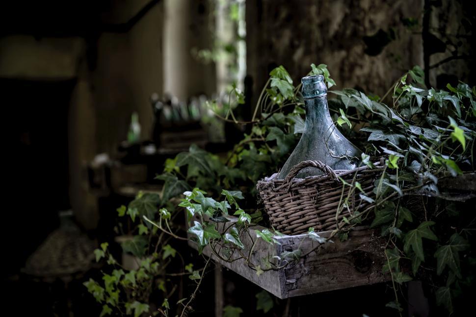 Free Image of Vine-Filled Basket on Table 