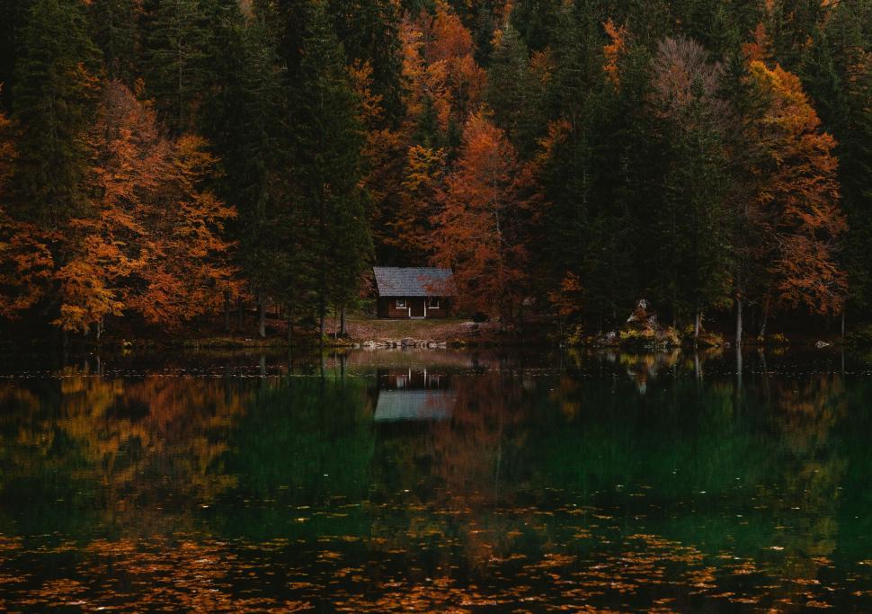 Free Image of Cabin on a Lake Surrounded by Trees 